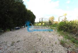 Agricultural Land – 5 Minutes from Messines and 10 Minutes from Algoz Agricultural Land – 5 Minutes from Messines and 10 Minutes from Algoz