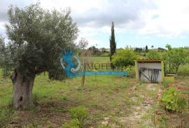 Agricultural Land – 5 Minutes from Messines and 10 Minutes from Algoz Agricultural Land – 5 Minutes from Messines and 10 Minutes from Algoz
