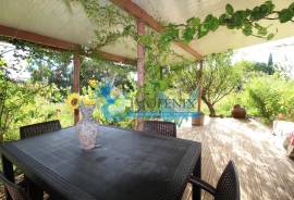 Agricultural Land – 5 Minutes from Messines and 10 Minutes from Algoz Agricultural Land – 5 Minutes from Messines and 10 Minutes from Algoz