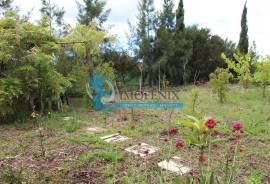 Agricultural Land – 5 Minutes from Messines and 10 Minutes from Algoz Agricultural Land – 5 Minutes from Messines and 10 Minutes from Algoz