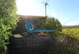 Agricultural Land – 5 Minutes from Messines and 10 Minutes from Algoz Agricultural Land – 5 Minutes from Messines and 10 Minutes from Algoz