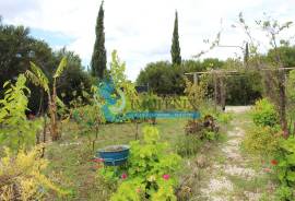 Agricultural Land – 5 Minutes from Messines and 10 Minutes from Algoz Agricultural Land – 5 Minutes from Messines and 10 Minutes from Algoz
