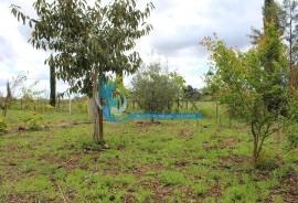 Agricultural Land – 5 Minutes from Messines and 10 Minutes from Algoz Agricultural Land – 5 Minutes from Messines and 10 Minutes from Algoz