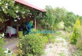 Agricultural Land – 5 Minutes from Messines and 10 Minutes from Algoz Agricultural Land – 5 Minutes from Messines and 10 Minutes from Algoz