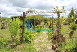 Agricultural Land – 5 Minutes from Messines and 10 Minutes from Algoz Agricultural Land – 5 Minutes from Messines and 10 Minutes from Algoz