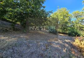 4 bedroom villa with annexes, garden and chestnut grove tree in Campeã, Vila Real