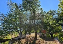 4 bedroom villa with annexes, garden and chestnut grove tree in Campeã, Vila Real