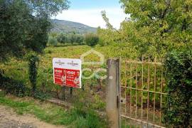Vineyard land with 3,723 m² in the Douro Demarcated Region – Lamego
