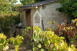 Vineyard land with 3,723 m² in the Douro Demarcated Region – Lamego