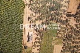 (For Sale) Land Agricultural Land || Zakynthos (Zante)/Artemisio - 4.497 Sq.m, 160.000€
