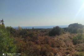 (For Sale) Land Agricultural Land || Zakynthos (Zante)/Artemisio - 30.000 Sq.m, 350.000€
