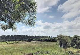 Land Caldas da Rainha