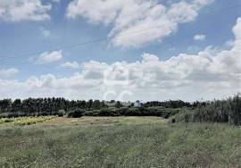 Land Caldas da Rainha