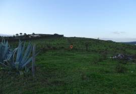 Land with 19,760 m² and ruin, in Cotifo Land with 19,760 m² and ruin, in Cotifo