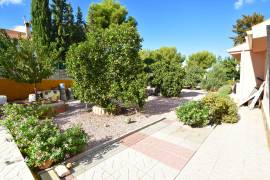 Amazing villa in Montemar Algorfa