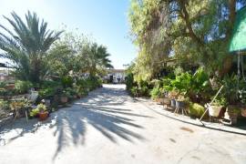 Unic Andalusian style country property in Albatera