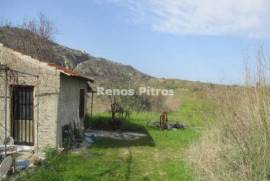 Agricultural field for sale  in Theletra village