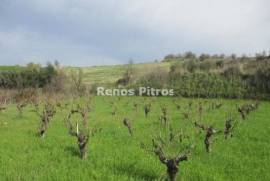 Agricultural field for sale  in Theletra village