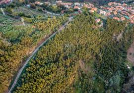 Land - são Roque Land - são Roque