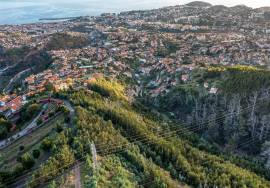 Land - são Roque Land - são Roque