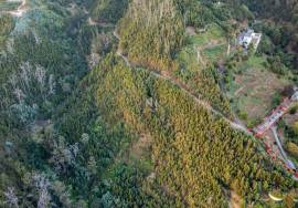 Land - são Roque Land - são Roque