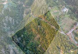 Land - são Roque Land - são Roque