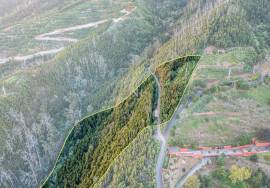 Land - são Roque Land - são Roque