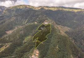 Land - Monte (Terreiro da Luta) Land - Monte (Terreiro da Luta)