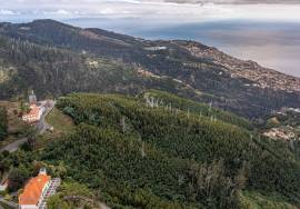 Land - Monte (Terreiro da Luta) Land - Monte (Terreiro da Luta)