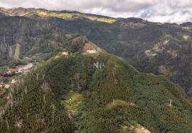 Land - Monte (Terreiro da Luta) Land - Monte (Terreiro da Luta)