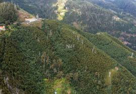 Land - Monte (Terreiro da Luta) Land - Monte (Terreiro da Luta)