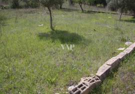 LOULE - Plot with ruin