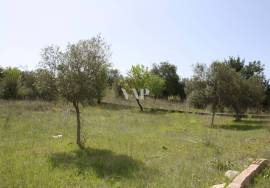 LOULE - Plot with ruin