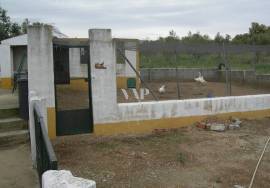 CAMPO MAIOR - Fabulous Farm with Nature Reserve rating
