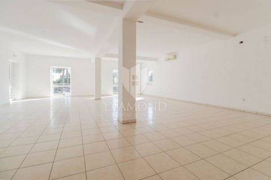 Novigrad, surroundings! Spacious office space!