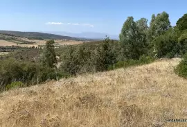 Land in Dolianova countryside, Sardinia