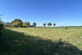 €19000 - Level Building Plot On 1700m2 In a Village With Mains Drainage Available