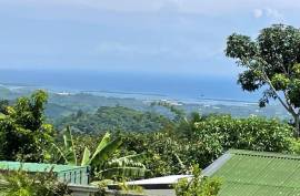 Luxury 15 Bedroom Estate For Sale in DANAO Cebu