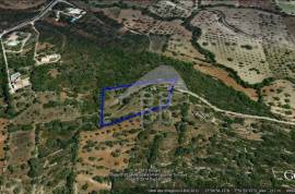Plot to build Villas or potentially a Rural Tourism Business