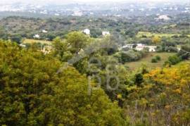 Plot to build Villas or potentially a Rural Tourism Business