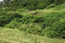 Excellent Plot of land for sale in St Andrew