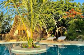 Luxury Hotel Milele Villas For Sale in Zanzibar