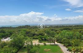 Exclusive apartment in the Natural Park L' Albufera