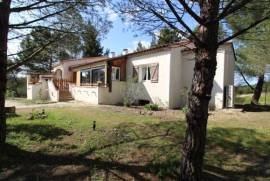 Large And Solid Detached Villa with Mature Garden