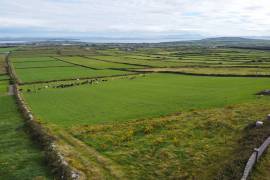 Stunning 5 Acres of Land For Sale in West Clare