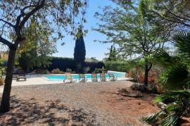 Traditional And Welcoming Villa With Pool