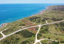 Bay view modern villas in Salir do Porto | Silver Coast Portugal