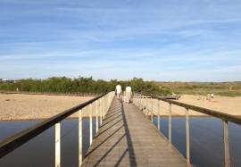 Bay view modern villas in Salir do Porto | Silver Coast Portugal