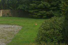Stunning 6 bed House For Sale in Aille County Galway