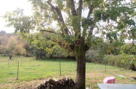 €107500 - Detached Bungalow With A Pleasant Outlook